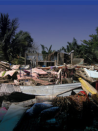 Typhoon damage